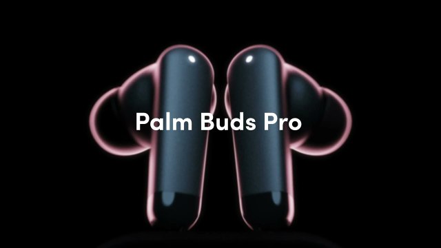 Introducing Palm Buds Pro