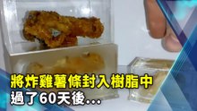將炸雞薯條封入樹脂中60天後...