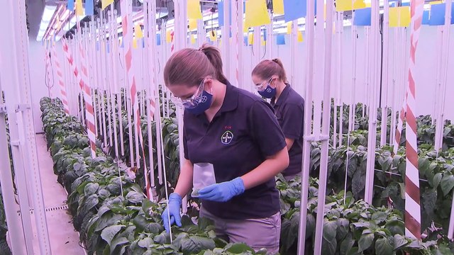 Bayer invierte 5,1 millones de euros en la ampliación del centro de investigación de San Nicolás