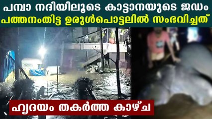 മലവെളളപ്പാച്ചില്‍ പമ്പാനദിയിലൂടെ കാട്ടാനയുടെ ജഡം ഒഴുകിയെത്തി | Oneindia Malayalam