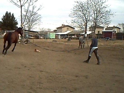 Longe Karina 25 février 2008