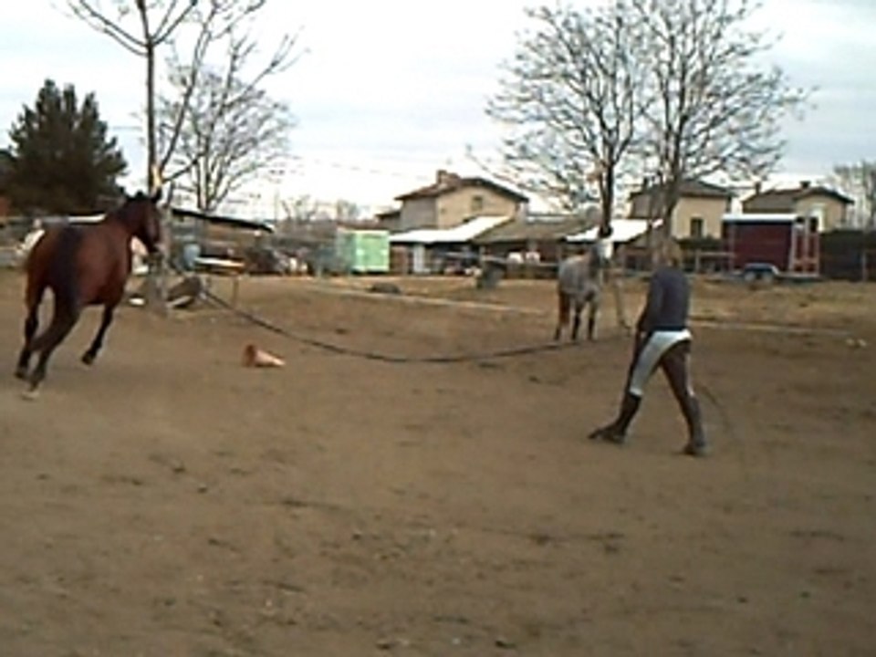 Longe Karina 25 février 2008