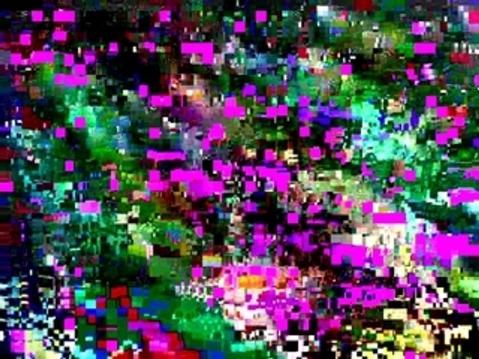 DEBATS JHM : Langres 26/02/08 Questions diverses