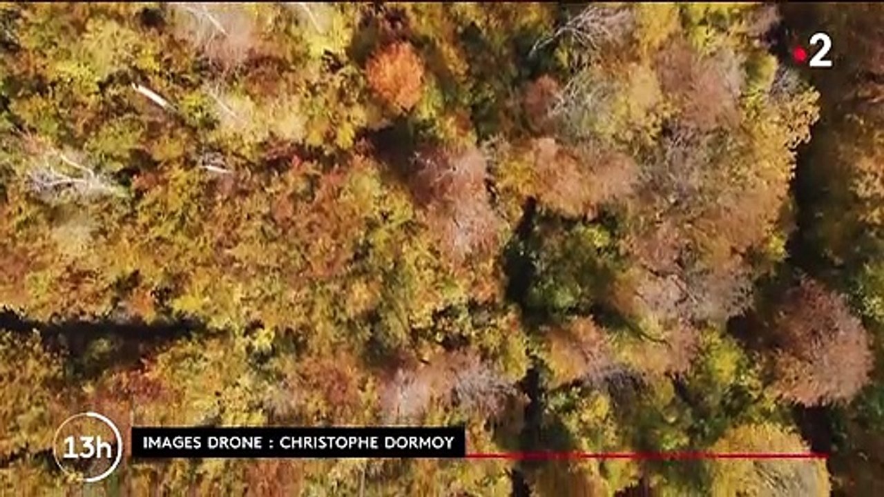 Haute-Marne : un département qui déploie toutes ses couleurs en automne