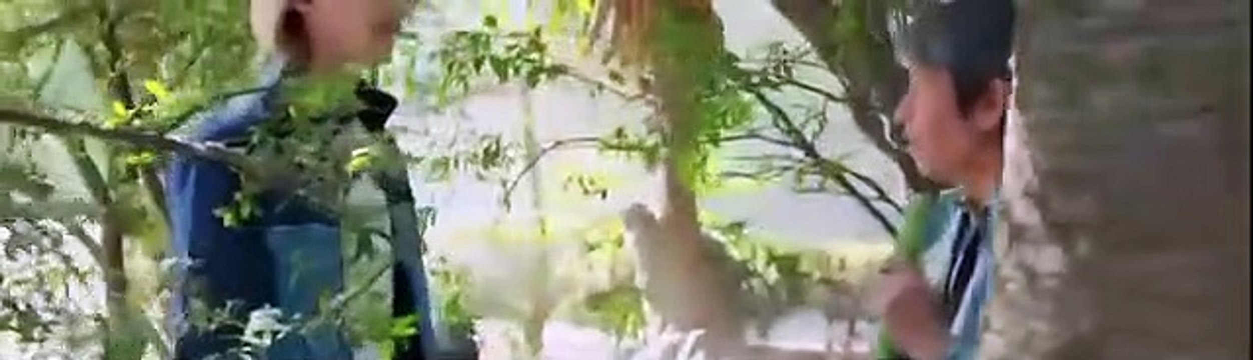 Un Día Para Vivir Capítulo 29 Completo – Un Día Para Vivir Capítulo 29 Completo