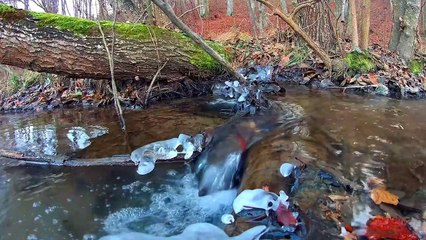 Asmr/environmental and nature sounds to relax (river 1)/Asmr_sonidos ambientales y de la naturaleza para relajarte (río 1)