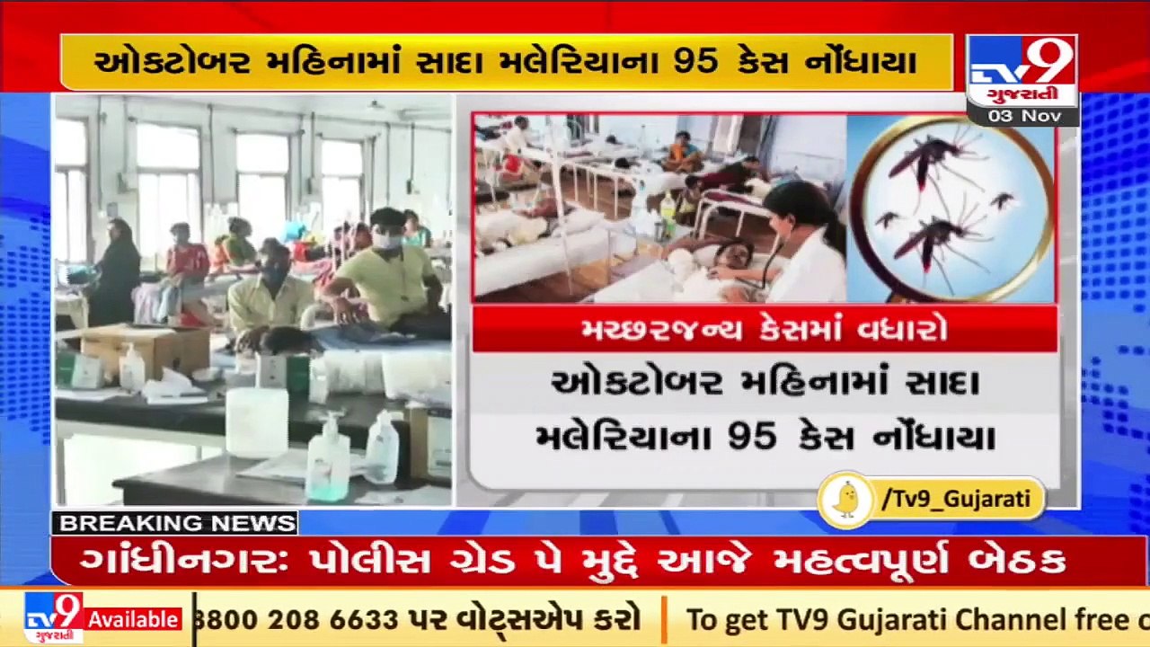 Ahmedabad sees sharp spike in mosquito-borne diseases _ TV9News