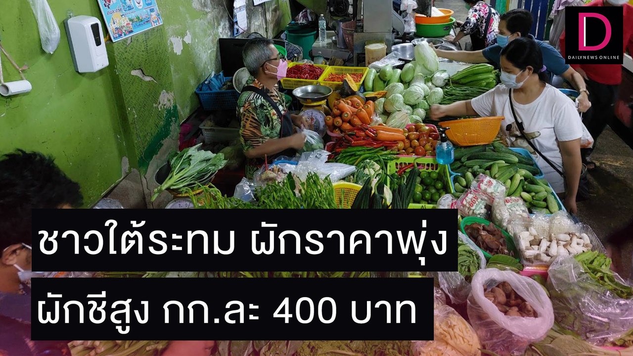 ชาวใต้ระทม ผักราคาพุ่ง ผักชีสูง กก.ละ 400 บาท | ชนคลิปข่าว 03//164 เดลินิวส์