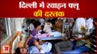 Swine Flu Cases Increased in Delhi | दिल्ली में स्वाइन फ्लू ने दी दस्तक