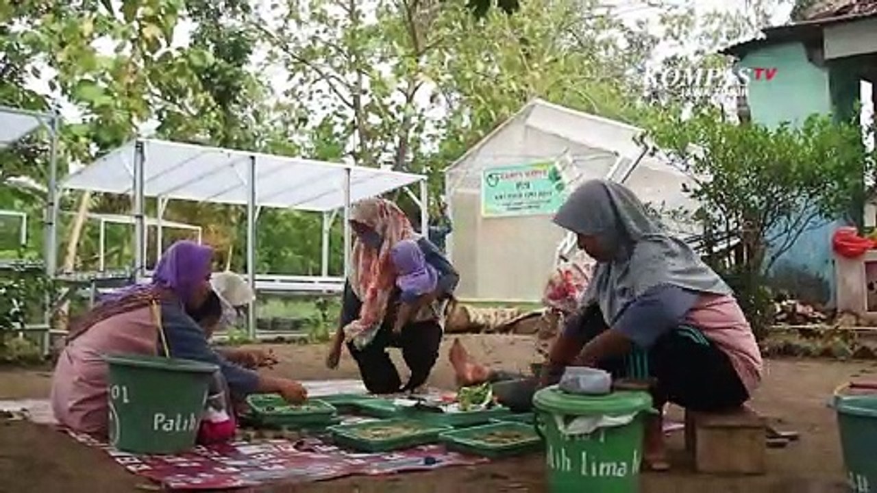Mengunjungi  Kelurahan Hidroponik di Ponorogo
