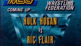 Hulk Hogan vs. Ric Flair (1991-11-30)