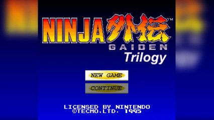 Ninja Gaiden Trilogy | The Uncommon Valley