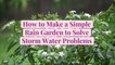 How to Make a Simple Rain Garden to Solve Storm Water Problems