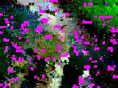 DEBATS JHM : Langres 26/02/08