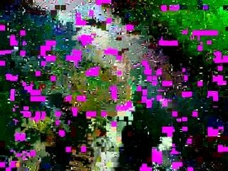 DEBATS JHM : Langres 26/02/08