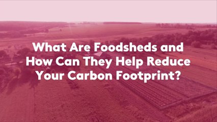What Are Foodsheds and How Can They Help Reduce Your Carbon Footprint?