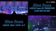 AKB48 Team SH AKB48【中日双声道对比】Blue Rose