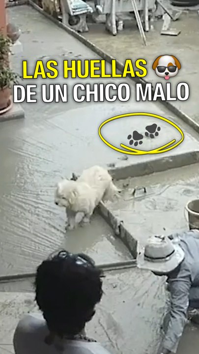 Huellas de un chico malo