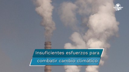 Concentraciones de gases de efecto invernadero vuelven a batir todos los récords: OMM