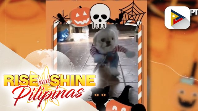 FEATURE: Chucky costume ni Skippy, kinagiliwan ng netizens