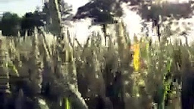 Relaxing music Soft Healing Calm Sleep Yoga Study Meditation Peaceful Music