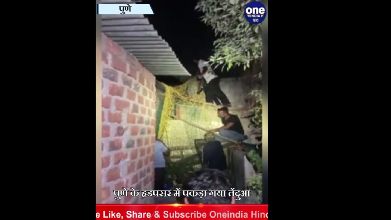 Pune: रिहायशी इलाके में तेंदुए का था आतंक, Forest Department ने ऐसे पकड़ा | #Shorts | वनइंडिया हिंदी