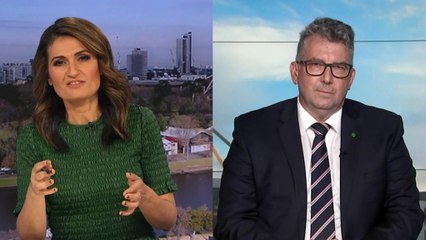 Government defends path to net zero by 2050