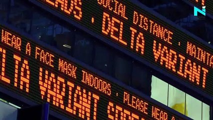 Seven cases of 'more contagious’ mutant of Delta variant found in India