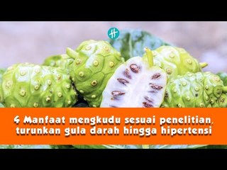 4 Manfaat mengkudu sesuai penelitian, turunkan gula darah hingga hipertensi