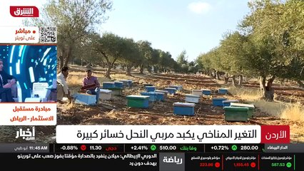 ...شىء منذ اكثر من مئتين وسبعة وثلاثين عاما...