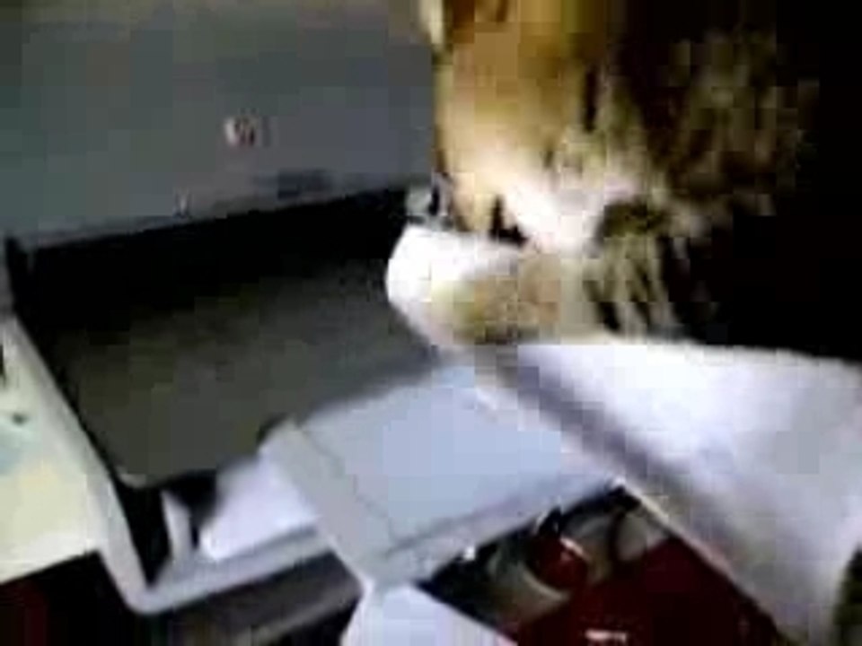 Chat_1