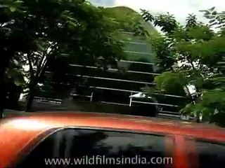 Bangalore Infosys building..