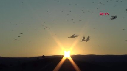 KARGA SÜRÜLERİ ŞEHRİN ÜZERİNİ YENİDEN 'KARA BULUT' GİBİ KAPLADI