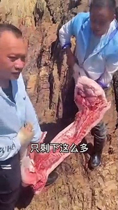 Cathcing fish