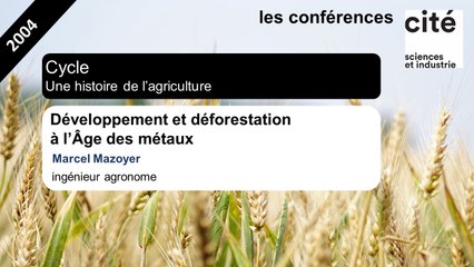 Développement et déforestation à l'Âge des métaux