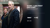 Tatort-Check: „Luna frisst oder stirbt“ - So gut ist der neue Krimi - FUFIS-Podcast