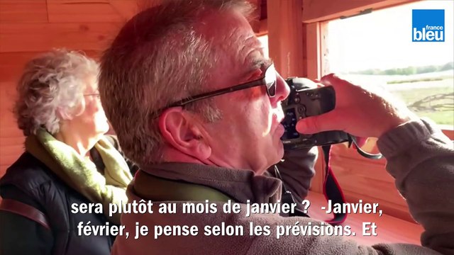 Nouvel observatoire sur la réserve naturelle régionale Terres et étangs Massé-Foucault