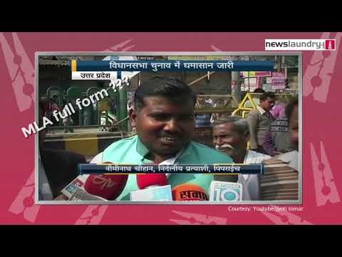 Who has better IQ? Actors or politicians?