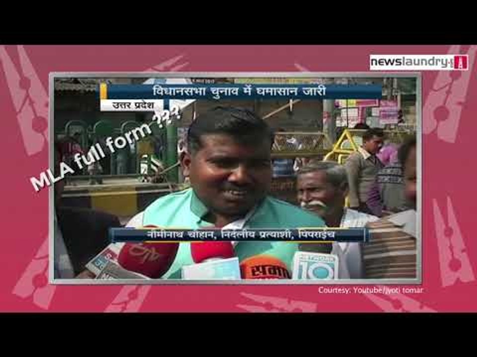 Who has better IQ? Actors or politicians?