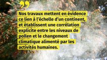 L’impact du changement climatique sur la saison des pollens