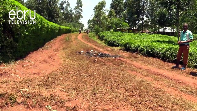 Kisii County Governor James Ongwae Forms A Task-Force To Investigate Mythical Beliefs In The Region