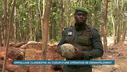 Orpaillage clandestin : au cœur d'une opération de démantèlement dans la forêt classée de la Téné (Eco plus)