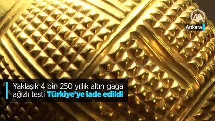 Yaklaşık 4 bin 250 yıllık altın gaga ağızlı testi Türkiye'ye iade edildi