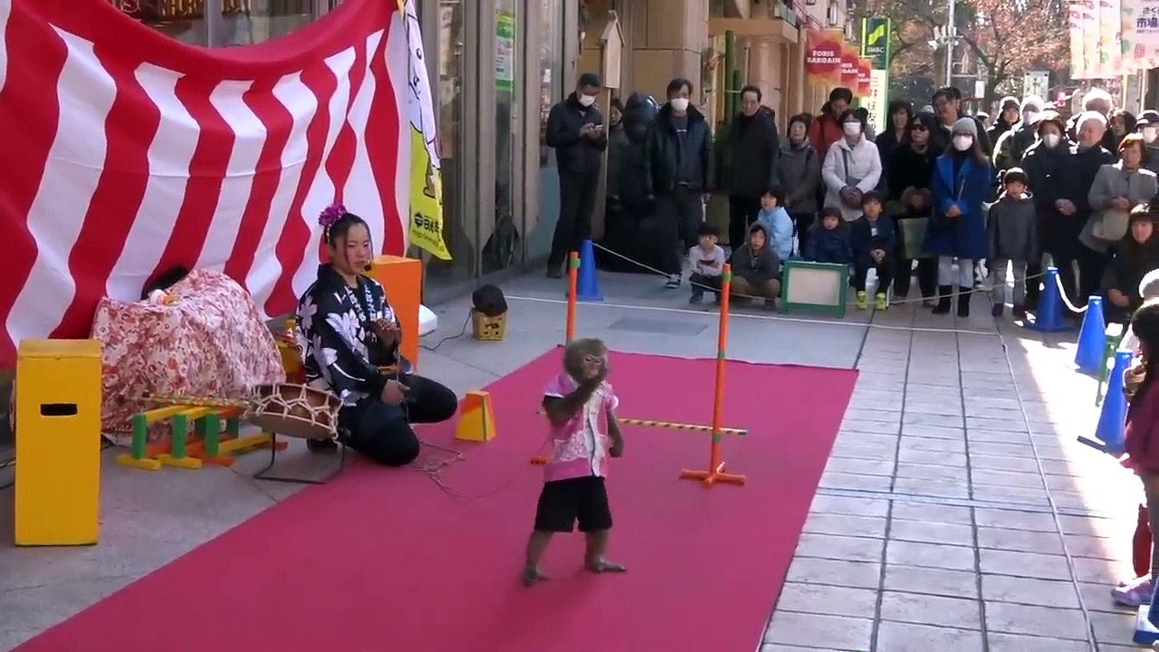 The best profermence of Monkey,  I have seen.