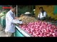Onion Prices Resume Upward Trend, Touch Rs 100kg Mark In Vegetable Markets