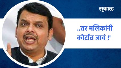 Mumbai ; ....तर मलिकांनी कोर्टात जावं !' देवेंद्र फडणवीस ; पाहा व्हिडीओ