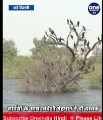 Delhi के Yamuna Biodiversity Park में  Migrants Birds का पहुंचा झुंड | #Shorts | वनइंडिया हिंदी