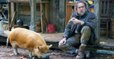 PIG - official Trailer - Nicolas Cage Movie 2021