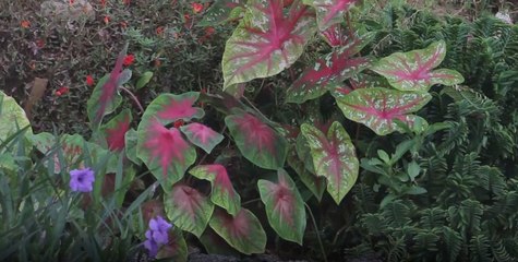 เรื่องพลบค่ำ ช่วงที่ 4 วันพุธที่ 27 ต.ค.64