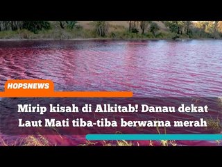 Mirip kisah di Alkitab! Danau dekat Laut Mati tiba-tiba berwarna merah darah, pertanda apa?